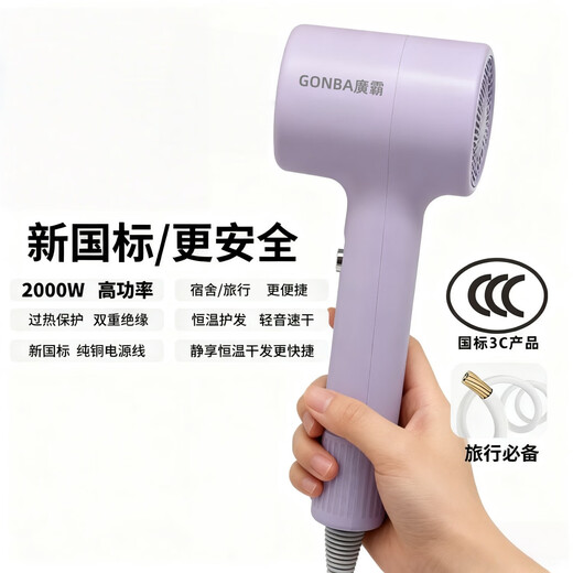 GUANGBA New National Standard Plasma Hair Dryer Hair Care Silent Quick-drying Anti-static Smooth Hair Dryer Hairstylist Special Barber Shop Home Quick-drying Negative Ion Hair Care Hair Dryer Lavender Purple New National Standard Safer 2000W + Styling Nozzle 1.8M Pure Copper Power Cord