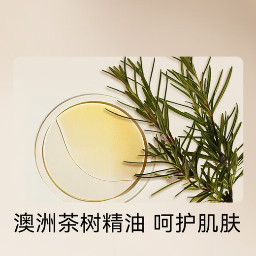 Made in Tokyo, foam antibacterial 99.9% fragrance hand sanitizer 430mL, oak forest fragrance after rain, amino acid moisturizing and gentle