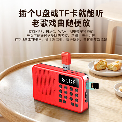 Newman (Newsmy) L1 radio for the elderly rechargeable plug-in card mini portable small opera player multi-functional small speaker 2025 new model