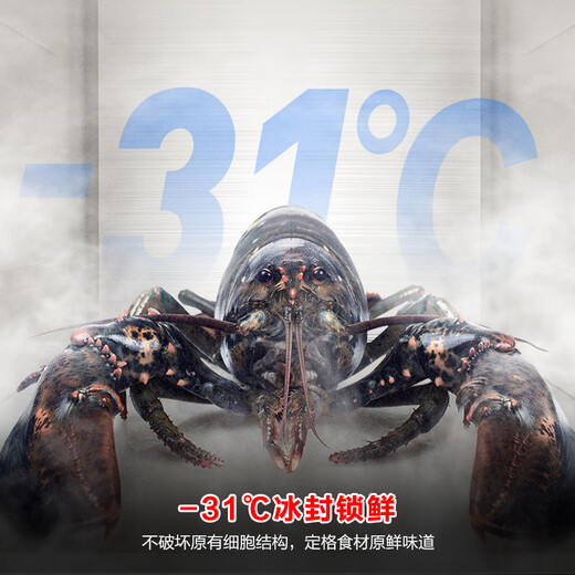 Rongsheng double-purified 518L French-style multi-door refrigerator with automatic sterilization, ultra-thin embedded glass door, frost-free, same model as Mo Yunyan in the mall, BCD-518WKM1MPGZA, national subsidy