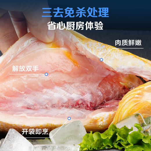 Member Store No. 1 Frozen deep-sea wild three-year-old yellow croaker Ningde large yellow croaker 800g/2 pieces boxed marine fish New Year's Eve
