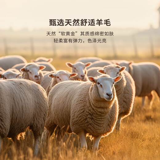 K-Boxing Men's Sheep Wool Autumn and Winter New Men's Casual Fashion Short Woolen Jacket NFWN3323 Walnut Color 2XL