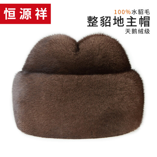 Hengyuanxiang winter mink fur genuine leather hat men's whole mink fur ear protection landlord hat elderly gentleman jazz hat black L (55-56cm)