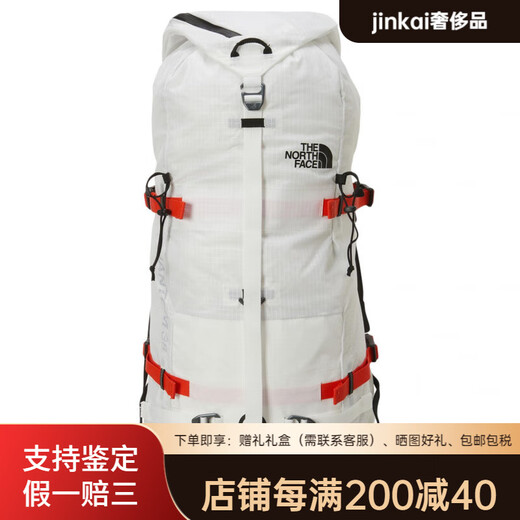 北面（The North Face）PHANTOM38L品牌字母标志尼龙双肩包常规男女同款情侣款白色 白色
