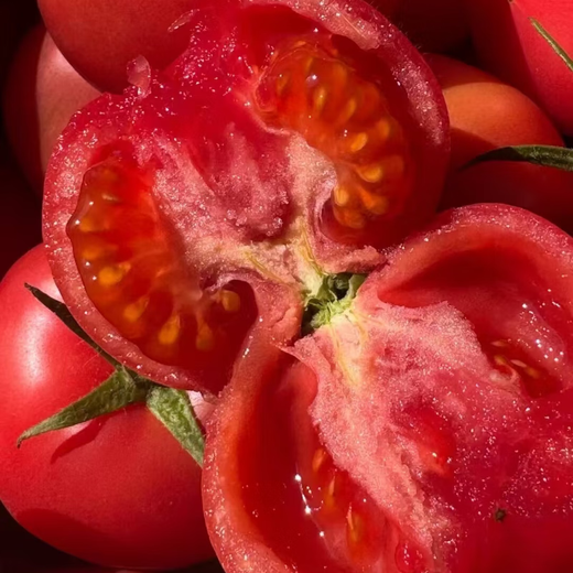 【超市精选】山东沙瓤水果西红柿新鲜番茄蔬菜减肥单果100g起 西红柿中大果 2斤 带箱