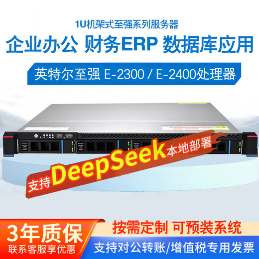 导爱至强服务器主机1U机架式存储服务器ERP文件共享用友金蝶数据库企业云托管主机DeepSeek本地部署 至强三代 4314 16核32线程2.4G 128+SA1.2T+2*8T SATA企业盘R1
