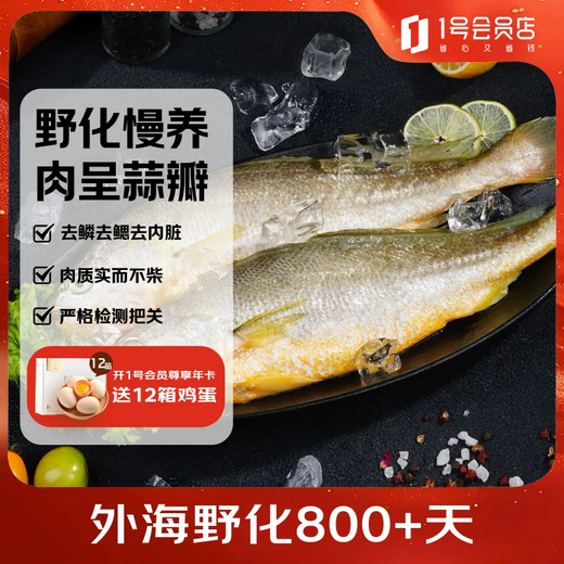 Member Store No. 1 Frozen deep-sea wild three-year-old yellow croaker Ningde large yellow croaker 800g/2 pieces boxed marine fish New Year's Eve