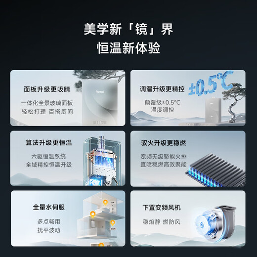 Rinnai Master Series 16L Gas Water Heater Household Water Servo Constant Temperature Water Heater Six-Drive Constant Temperature 0.5 Temperature Adjustment 16GD73 (JSQ31-GD73)