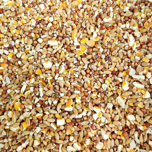 Chicken feed wholesale, sorghum, wheat and corn minced mixed to feed chickens, corn crushed dregs, corn grits, chickens, ducks, pigeons, 3 Jin Jin is equal to 0.5 kg (sorghum + wheat + corn minced mixed)