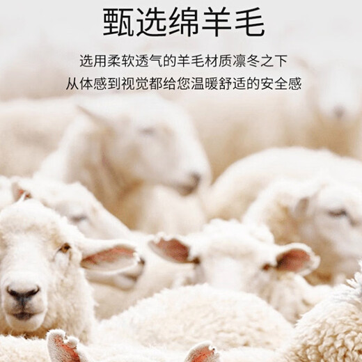 Langsha Autumn Clothes and Autumn Pants Set Women's Autumn and Winter German Velvet Thermal Underwear Seamless Antibacterial and Heating Wool Beauty Bottoming Shirt