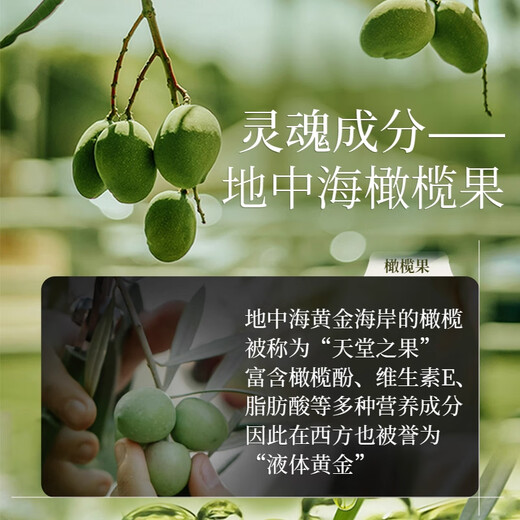 Xianweina Olive Dynamic Brightening Elastin Gel soft hair elastic style delicate dynamic brightening elastin 260ml