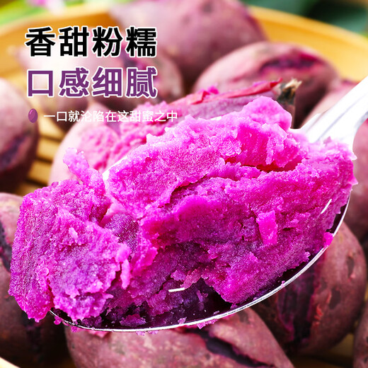 Jingxiansheng Shandong Violet Purple Sweet Potato, net weight 3Jin Jin is equal to 0.5kg, single fruit 100g + fresh vegetables, sweet potatoes and sweet potatoes, straight from the source