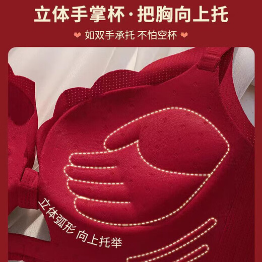 Tingmei (GRACWELL) Sexy Seamless Red Underwear Zodiac Year Suit for Women 2025 Year of the Snake Wedding Bride Small Breasts Push Up Big Bra Burgundy - Set (Underwear + Underwear) M 75/34A (Push Up to Prevent Sagging)
