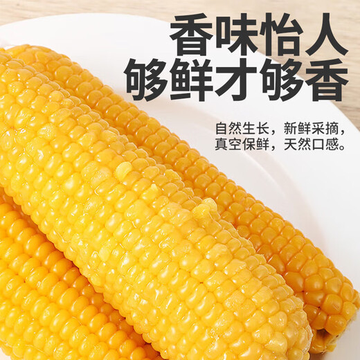 Kaiyuan Baofeng New Northeast Yellow Waxy Corn on the Cob Vacuum-packed Yellow Waxy Corn Fresh First-Stubble Breakfast Meal Replacement 4 first-crop yellow waxy corn average weight >180g