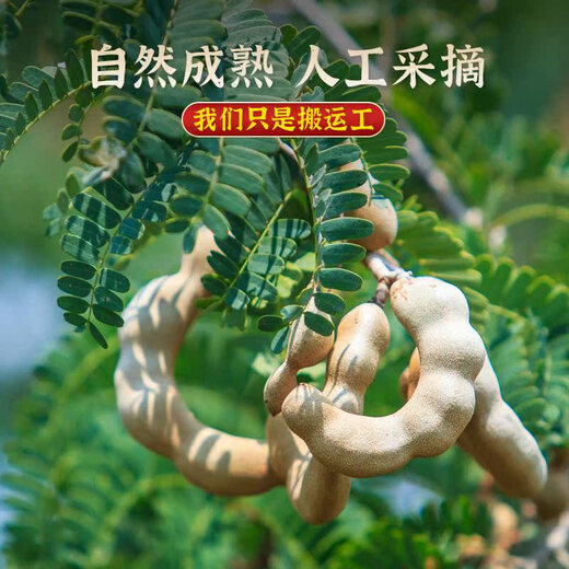 Yunnan specialty acid horn fresh wild sweet horn pregnant women snacks fruit beans south sour jujube tamarind sweet sour horn [Yunnan specialty without pesticides] Yunnan sweet horn 200g*2 pack