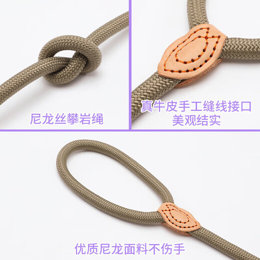 Gasco pet P chain size M dog leash dog leash collar small and medium-sized dogs dog out walking training dog belt