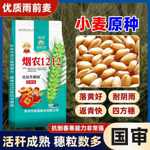 Strong man, original seed grade, Tobacco Nong 1212 wheat seed, genuine, high-yielding, drought-resistant and frost-resistant winter wheat seed, a new variety of winter wheat seed, high-purity wheat seed approved by both countries, 15 kg, original seed grade
