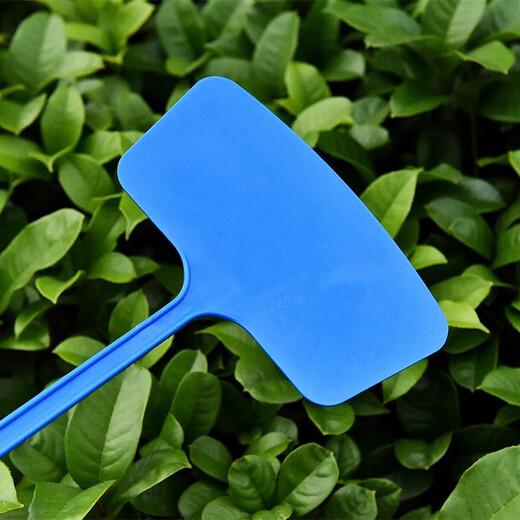 园艺标签花卉植物标签插地标牌防水园艺定制标识牌一体斜面 小立体36cm白(10个)