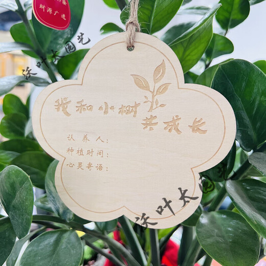 Yong Huan 10 pieces of custom-made wooden hanging tags for school Arbor Day tags, tree adoption tags, plant tags, name cards, random mixed 10 pieces