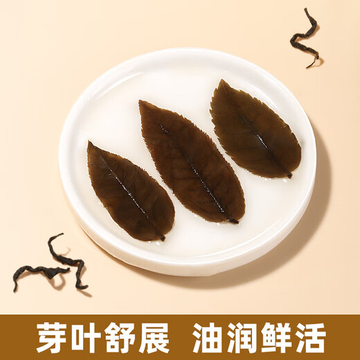丙田 张家界青钱柳茶250g 高山古树嫩叶 优质干青前柳成叶 金钱柳叶茶 【张家界】古树嫩叶250g