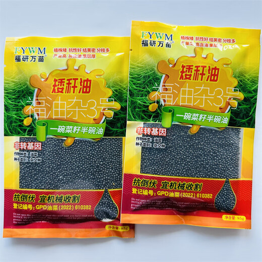 Hanfei Oil 1701 Agricultural Oil 68 Rapeseed Seed High Yield, High Oil, Dwarf Stem, Cold Resistant and Disease Resistant Brassica Rapeseed (25) Dwarf Stem Oil 80g