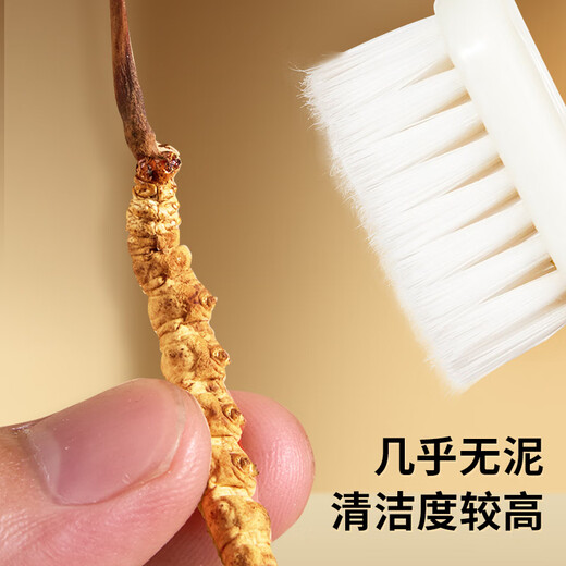 雷允上冬虫夏草3.2根/g 50g约160根虫草礼盒送领导送长辈滋补品
