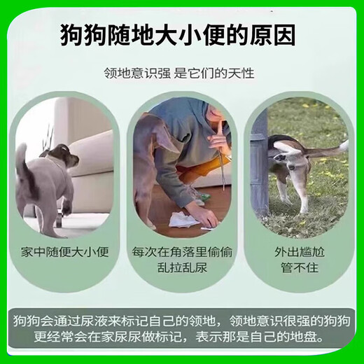 One spray to locate the dog's fixed-point defecation artifact, toilet inducer, dog pee pad, fixed-point training, 1 bottle, dog's fixed-point defecation