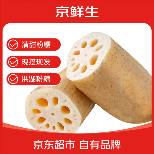 Jingxiansheng Hubei Honghu Fresh Lotus Root Flour Net Weight 4Jin Jin is equal to 0.5kg (packed in 4-6 sections) with mud to lock in freshness. Vegetables are sent directly from the source.