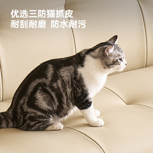 Mumian Cat Claw Leather Sofa Bed Sofa Bed Integrated and Two-Use Foldable Multi-Function Living Room Sofa 2025 New YH-666