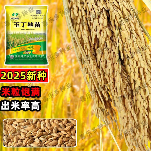 Nationally approved super-stable yield rice seeds, new products from the Academy of Agricultural Sciences, disease-resistant and lodging-resistant rice seeds, high temperature resistant, long-grain original jade 4Jin Jin equals 0.5kg, soft and delicious rice