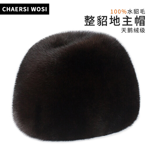 Charles Worth winter full mink fur hat men's mink fur beret ear protection plus velvet middle-aged and elderly gentleman's hat black L (55-56cm)