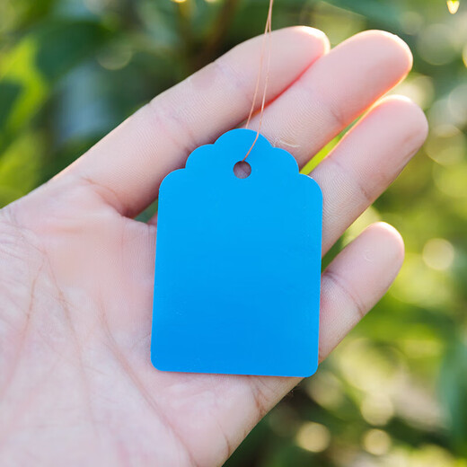 100 pieces of hang tags, plant signs, tree signs, classified color cards, plastic, waterproof, light-fast, non-fading, P 3*4.5cm yellow, 100 pieces