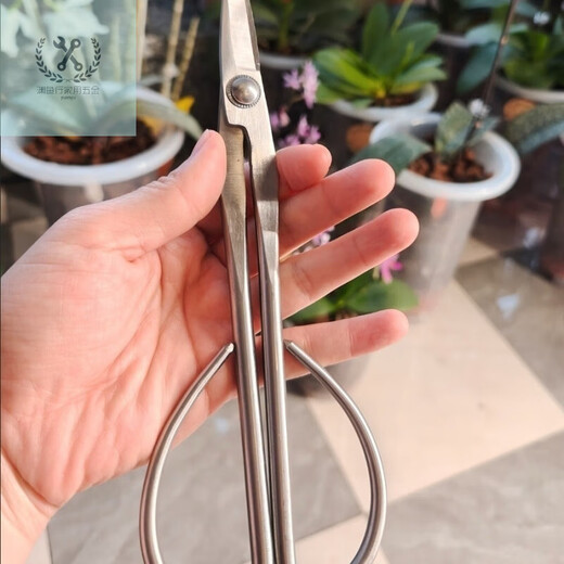 LNGA LANDGRE leaf bud shears all stainless steel gardening shears leaf bud shears bud scissors flower arrangement bonsai branch shears pruning twigs shears trees leaf bud shears all stainless steel gardening shears leaf bud shears buds