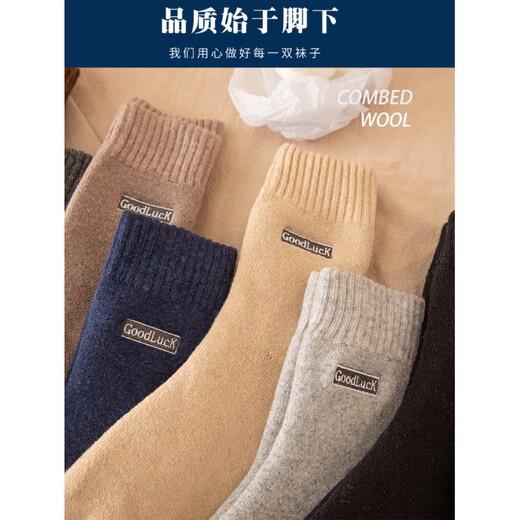 Antarctic Antarctic Wool Socks Men's Breathable Thick Sleeping Socks Warm Wool Lined Thickened Mid-Length 2025 New Autumn and Winter Black*4 One Size