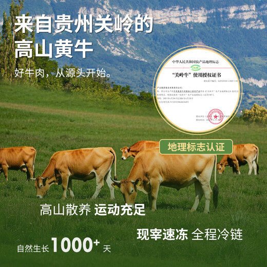 Amazingly Fresh Domestic Guizhou Alpine Ox Raw Cut Beef Brisket 2Jin Jin is equal to 0.5kg Frozen Whole Beef Hot Pot BBQ Straight from the Source
