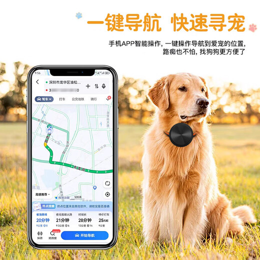 BEBG Anti-Lost Device Locator Brand Direct Anti-Lost Elf Tracks Pet Movement Route GPS Positioning Tracking 5G Upgraded Ivory White + Global Positioning + Ultra-Long Standby + Universal for 3-Terminal Systems