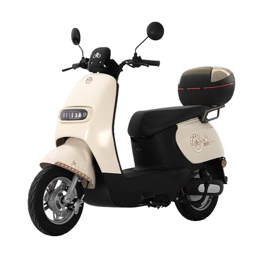 FOREVER FOREVER electric motorcycle, unisex two-wheeled battery car, 72V high-speed long-distance running king, high-power, long-range 1200W motor, beige, 1200W large disc brake + NFC - backrest version, no battery - no gifts - no support for lithium batteries