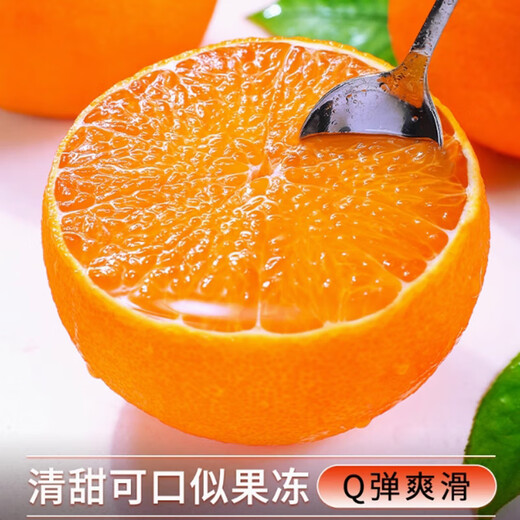 Jingmi Xiangshan Red Beauty Citrus, net weight 1.3Jin Jin equals 0.5kg, 4 pieces, single fruit 140g + Ehime jelly orange source straight hair