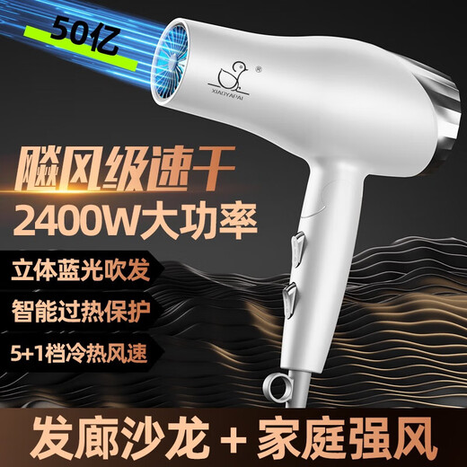 Xiaoya (XIAOYA) 2400W high-power hair salon hair dryer negative ion blue light hair care folding hair dryer powerful high-speed large hair dryer King top version Honor White + 2400W + free air nozzle + foldable 4.5 billion blue light ion hair care typhoon-level wind movement