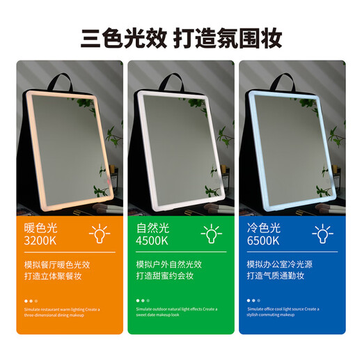 CURRAN KOUMAH Portable LED Makeup Mirror with Light Folding Rechargeable Makeup Artist Follow-Up Large Fill-Light Mirror Black Leather Case Zipper Model 10000 mAh Ultra Clear