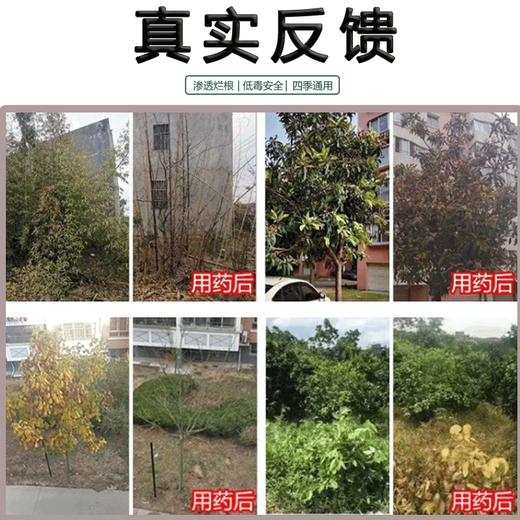 Tetracycline Herbicide Shrub Vine Weed Killer Weed and Rot Root Agent Powerful Tree Killer Large Tree Rot Root King 1Jin Jin is equal to 0.5 kg.