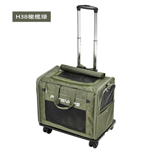 Haustier-Trolley, Maine-Coon-Katzentasche, große Kapazität, Rucksack, Katzentasche, tragbarer Haustier-Rucksack für den Außenbereich, kleiner Hund, Welpen-Tasche, grüner Trolley