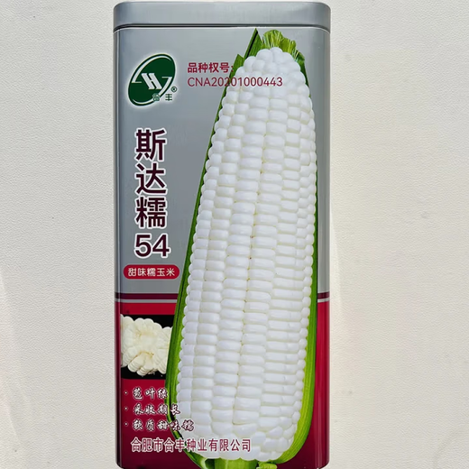 白甜糯玉米种子高产白糯玉米非转四季播国审农家超甜加糯玉米种子 龙育糯1号玉米种子【原装200克1袋