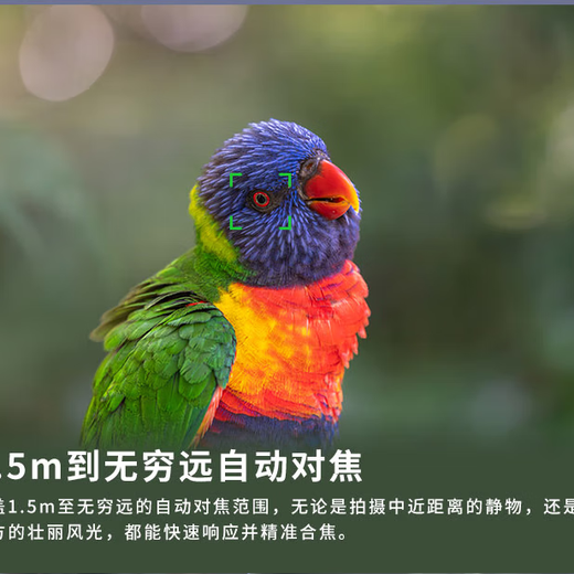 LAOWA FF180mm F4.5 CA-Dreamer 1.5X magnification macro lens MF-L mount