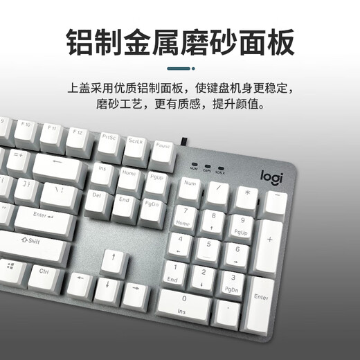 罗技顺丰K845机械键盘有线高颜值办公背光电竞游戏鲸落版 K845富士雪晴绿+顺丰发货  青轴