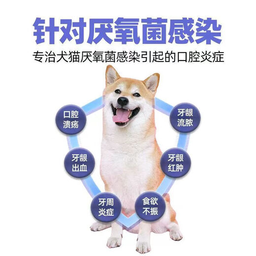 Pet Metronidazole Tablets, Dog Stomatitis, Cat Bad Breath, Toothache, Periodontitis, Oral Ulcer, Red and Swollen Gums, Anaerobic Infection, Antiprotozoal Disease, Canine Giardiasis, Metronidazole Tablets, Pet Stomatitis, 2 Bottles