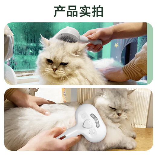 Zhenyou pet cat comb spray massage comb dog and cat hair removal comb cleaner comb brush to remove floating hair artifact white