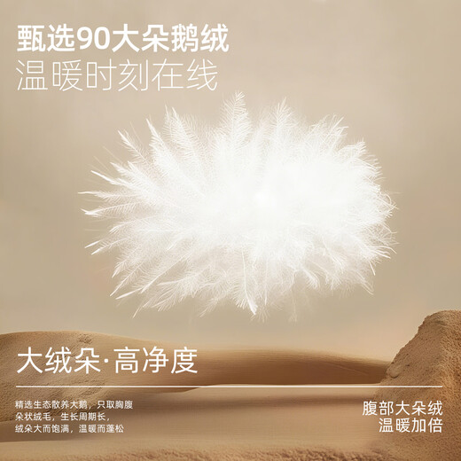 Youngor windbreaker men's high-quality polyester fiber down windbreaker business lapel classic inner zipper 2025 new arrival gray blue VYYF419865HFA 2XL 185/104A (recommended 170-180Jin Jin equals 0.5 kg)