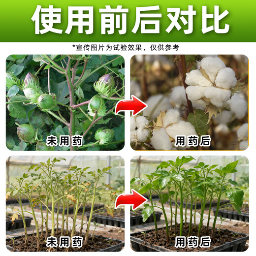 1.8% Sodium Nitrophenolate Sodium Nitrophenolate Plant Growth Regulator Cotton Growth Regulation Genuine Growth Regulator Large Bottle Whole Box Wholesale Price 1000g*12 Bottles