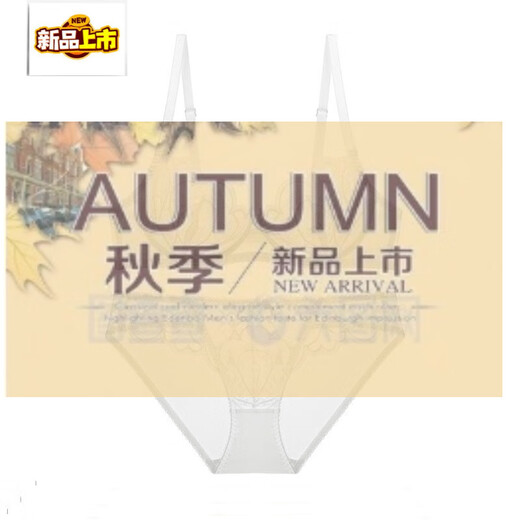 MIDNITE STAR New Dezhifen Big Breast Summer Sexy Underwear Women's Bra Breast-Reducing Transparent Bra Lace Set M04-White (Full Set) S 70A+